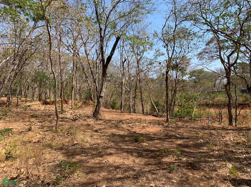 , Tamarindo, Santa Cruz, Guanacaste photo 5