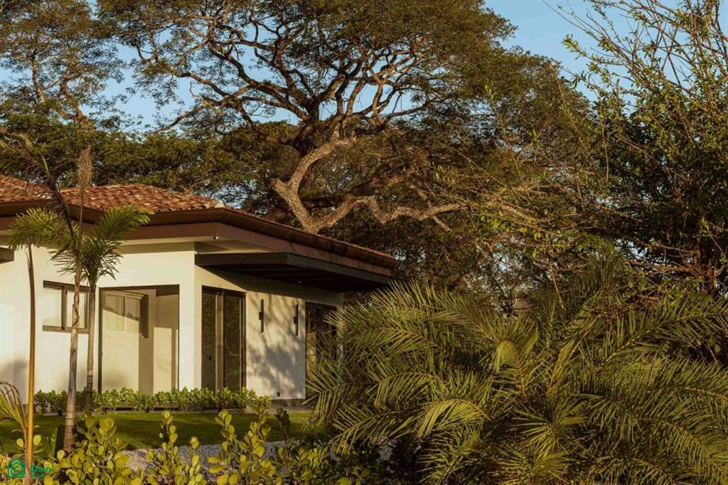 7 Bedroom Newly Built Estate Modern Home with Guest Villa, Tamarindo, Santa Cruz, Guanacaste photo 3