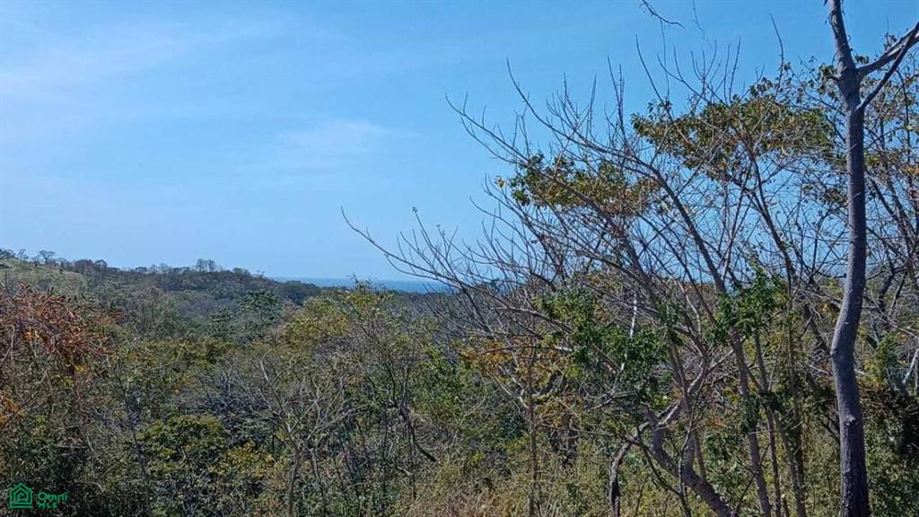 Eco Development Gated Community , Veintisiete de Abril, Santa Cruz, Guanacaste photo 1