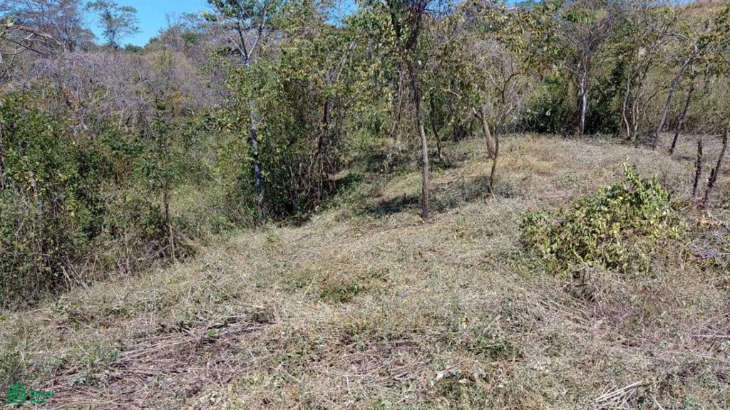 Eco Development Gated Community , Veintisiete de Abril, Santa Cruz, Guanacaste photo 4