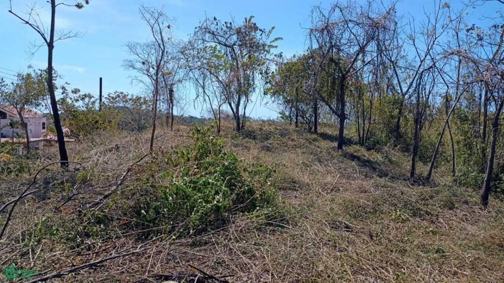 Eco Development Gated Community , Veintisiete de Abril, Santa Cruz, Guanacaste photo 5