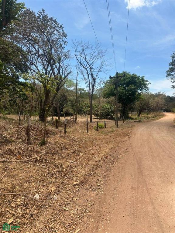 , Tamarindo, Santa Cruz, Guanacaste photo 1