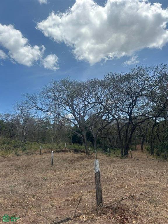 , Tamarindo, Santa Cruz, Guanacaste photo 2
