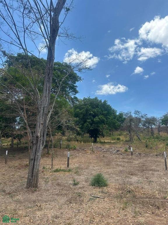 , Tamarindo, Santa Cruz, Guanacaste photo 3
