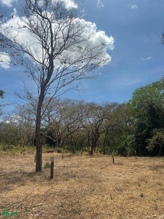 , Tamarindo, Santa Cruz, Guanacaste photo 4
