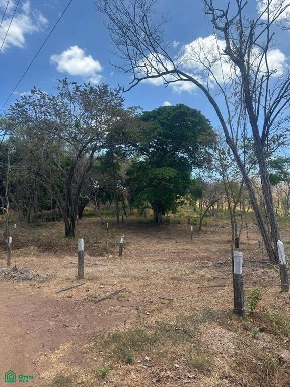 , Tamarindo, Santa Cruz, Guanacaste photo 5