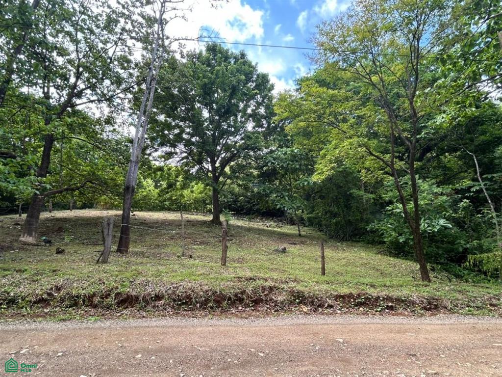 Altos de Pinilla , Tamarindo, Santa Cruz, Guanacaste photo 1