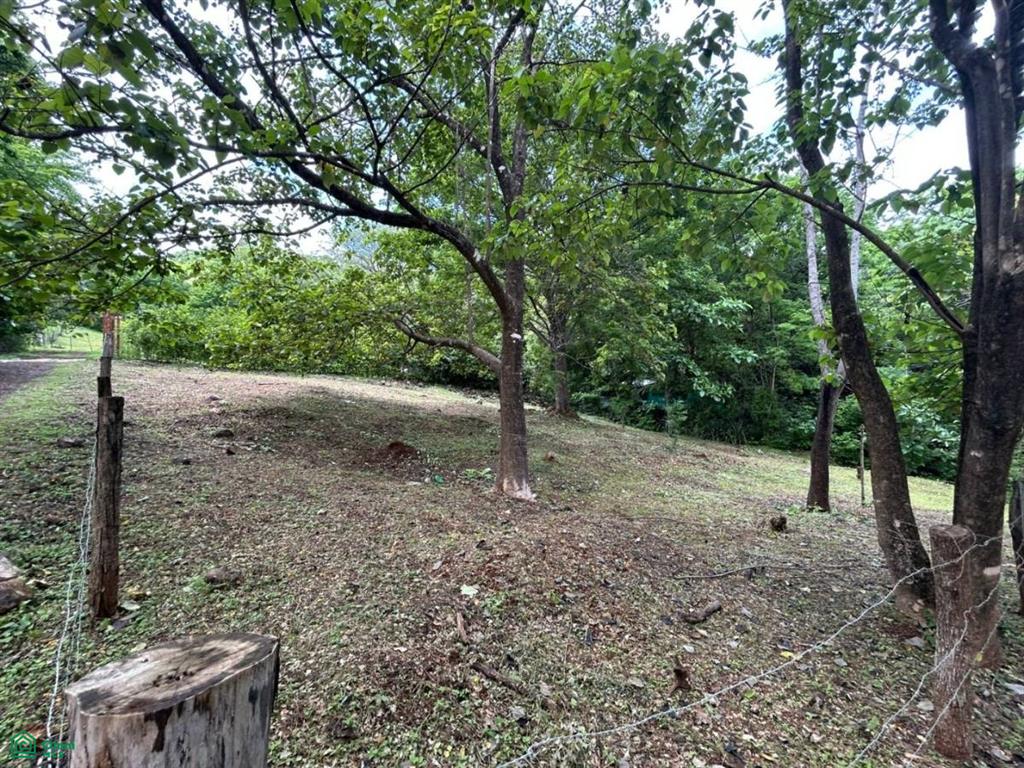 Altos de Pinilla , Tamarindo, Santa Cruz, Guanacaste photo 3