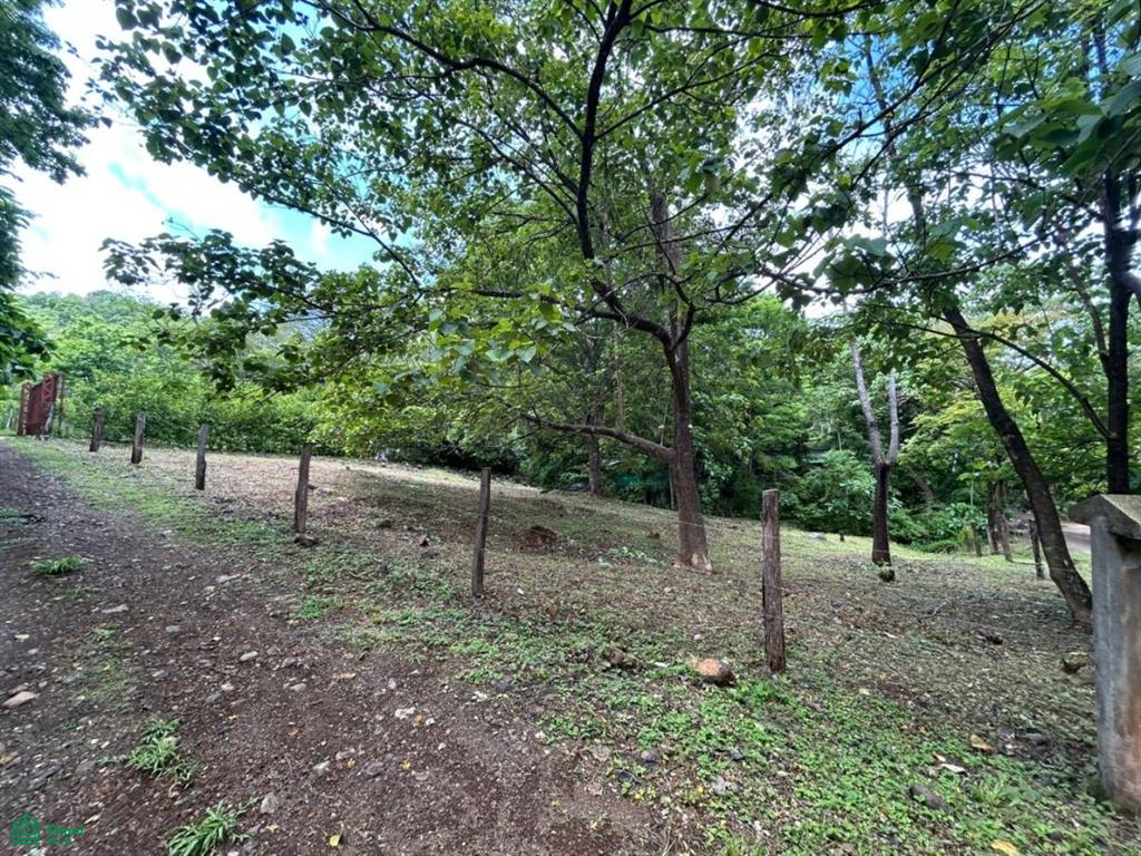 Altos de Pinilla , Tamarindo, Santa Cruz, Guanacaste photo 4