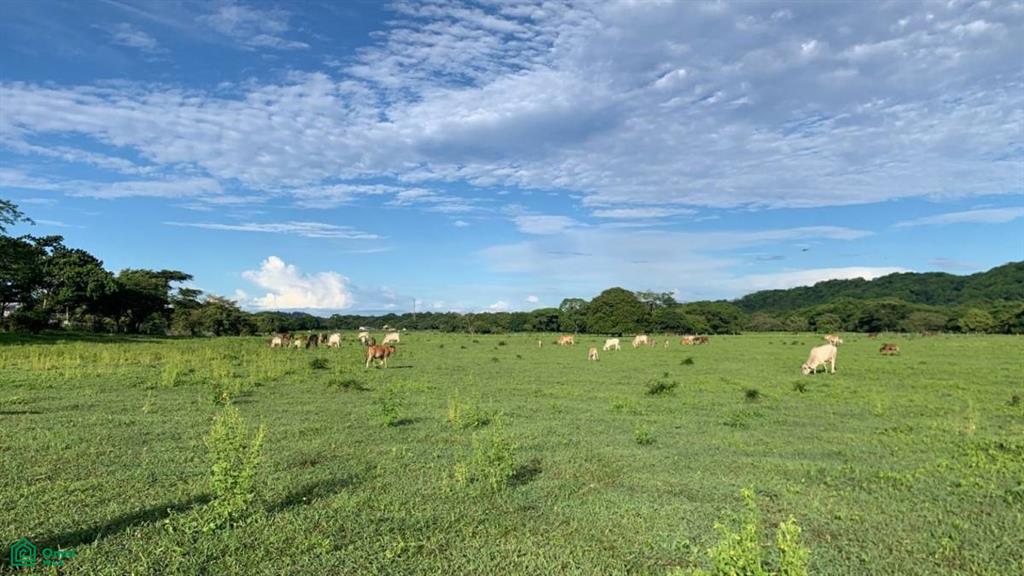 La Garita Nueva , Tamarindo, Santa Cruz, Guanacaste photo 1