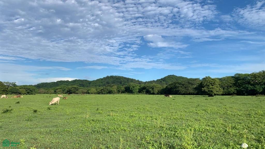La Garita Nueva , Tamarindo, Santa Cruz, Guanacaste photo 2