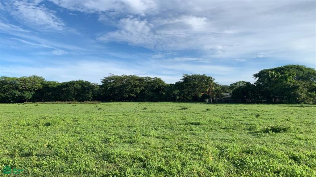 La Garita Nueva , Tamarindo, Santa Cruz, Guanacaste photo 3
