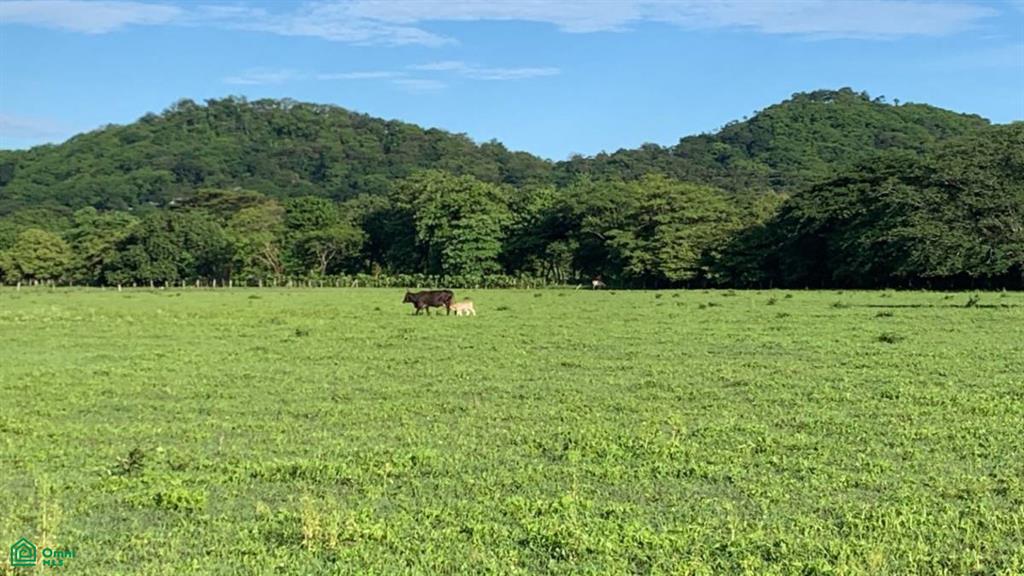 La Garita Nueva , Tamarindo, Santa Cruz, Guanacaste photo 4