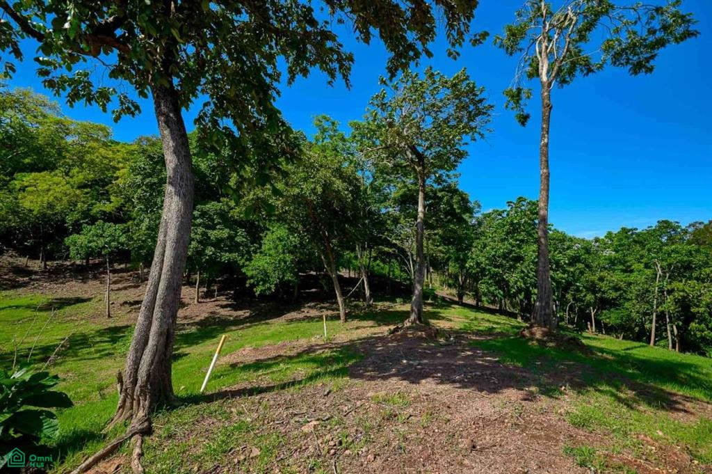 Elevated Lot in Boutique Gated Community , Tamarindo, Santa Cruz, Guanacaste photo 2