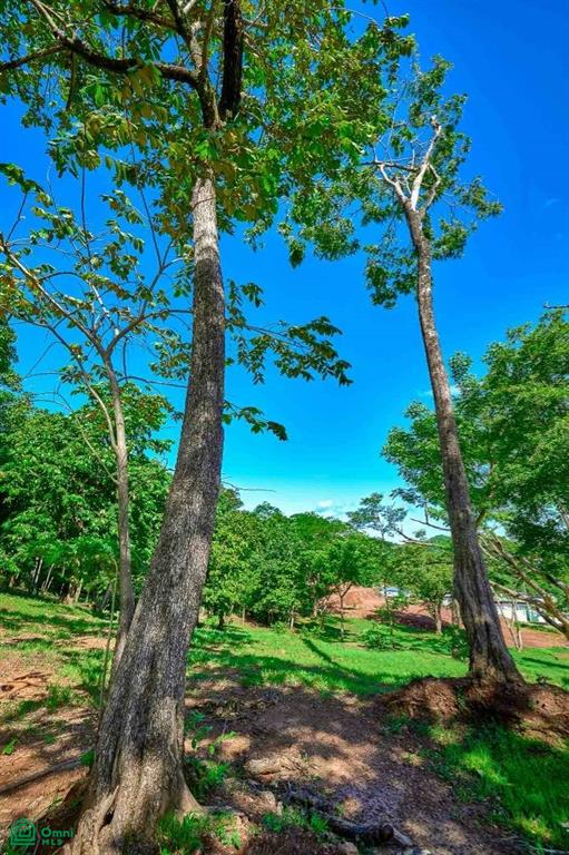 Elevated Lot in Boutique Gated Community , Tamarindo, Santa Cruz, Guanacaste photo 4