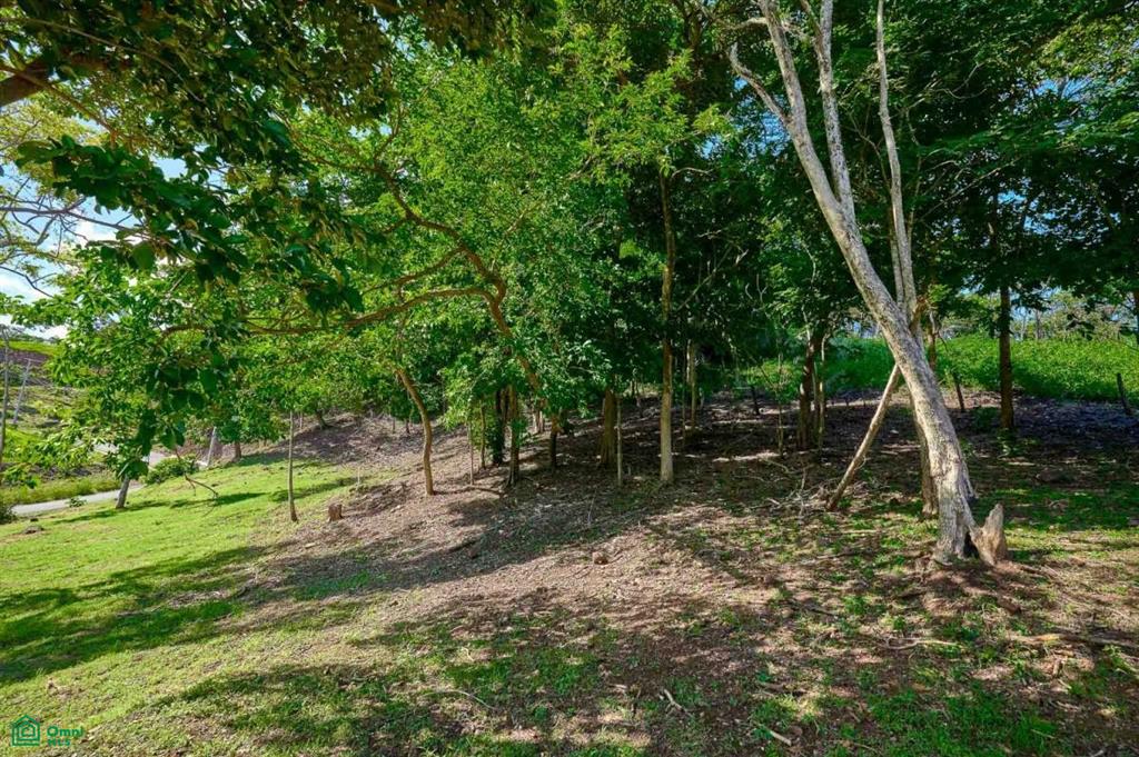 Elevated Lot in Boutique Gated Community , Tamarindo, Santa Cruz, Guanacaste photo 5