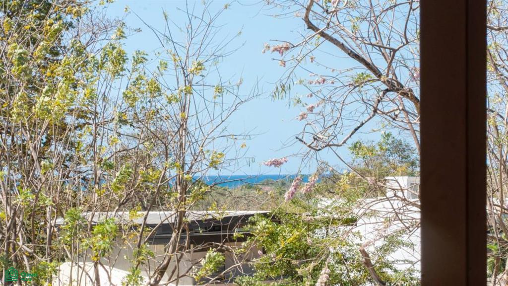 Tamarindo Park, Casa Bromelia (Lot 51) , Tamarindo, Santa Cruz, Guanacaste photo 2
