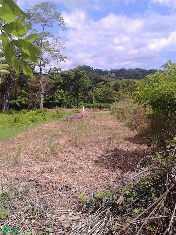 Santa Rosa de Guatemala 2, Tamarindo, Santa Cruz, Guanacaste photo 1