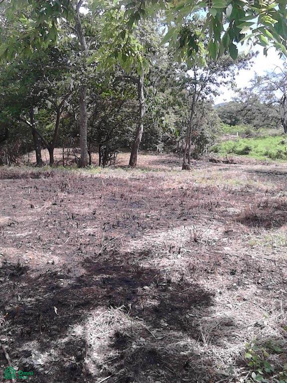 Santa Rosa de Guatemala 2, Tamarindo, Santa Cruz, Guanacaste photo 2