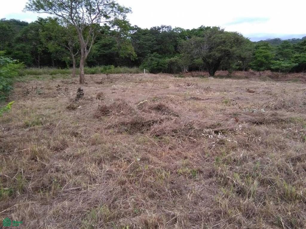 Santa Rosa de Guatemala 2, Tamarindo, Santa Cruz, Guanacaste photo 3