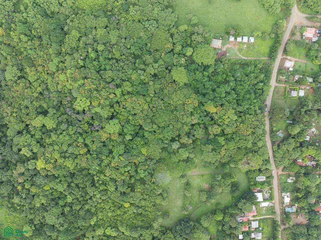 , Tamarindo, Santa Cruz, Guanacaste photo 5
