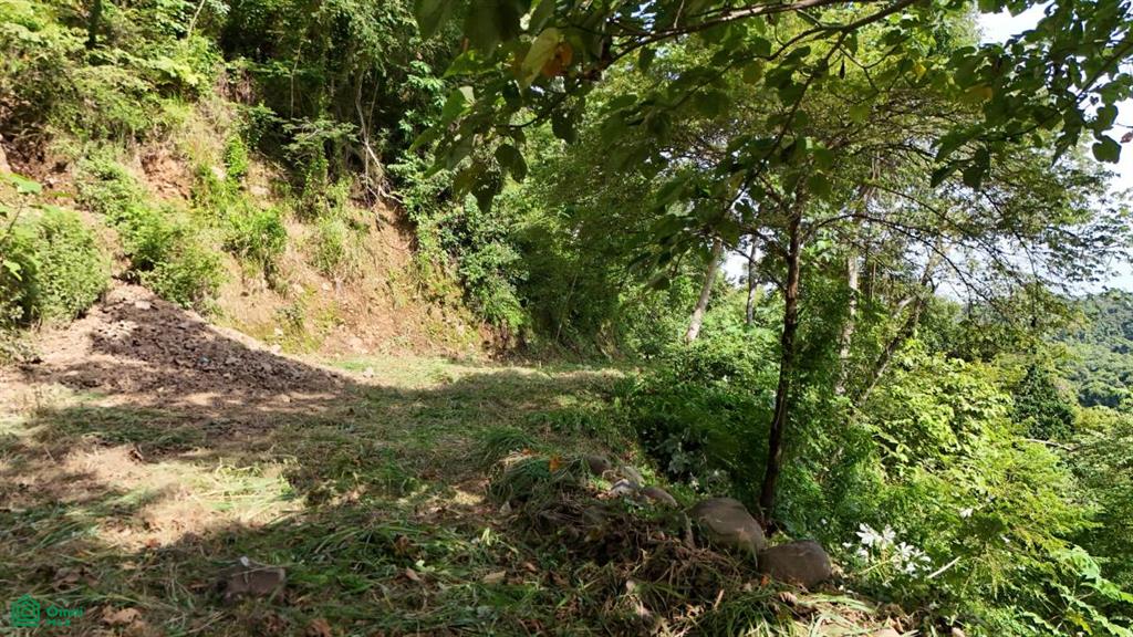 Gated Community Bellevue, Proyecto Isla Tortuga , Paquera, Puntarenas, Puntarenas photo 5