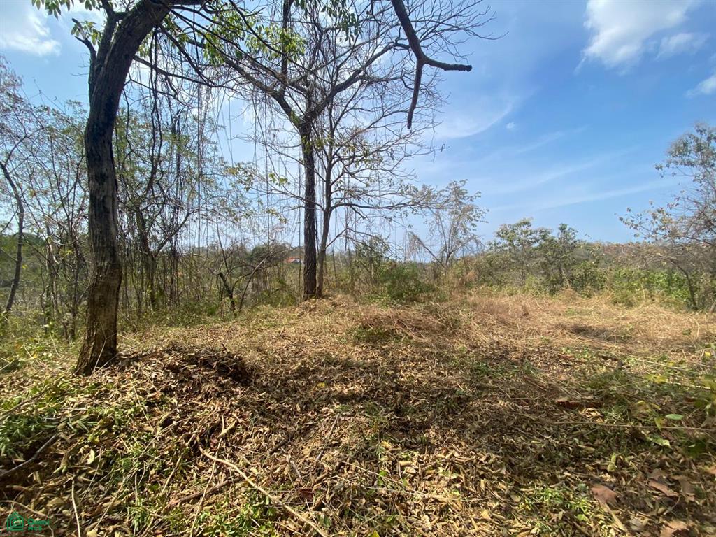 Gated Community Eco delevolpment , Tamarindo, Santa Cruz, Guanacaste photo 4
