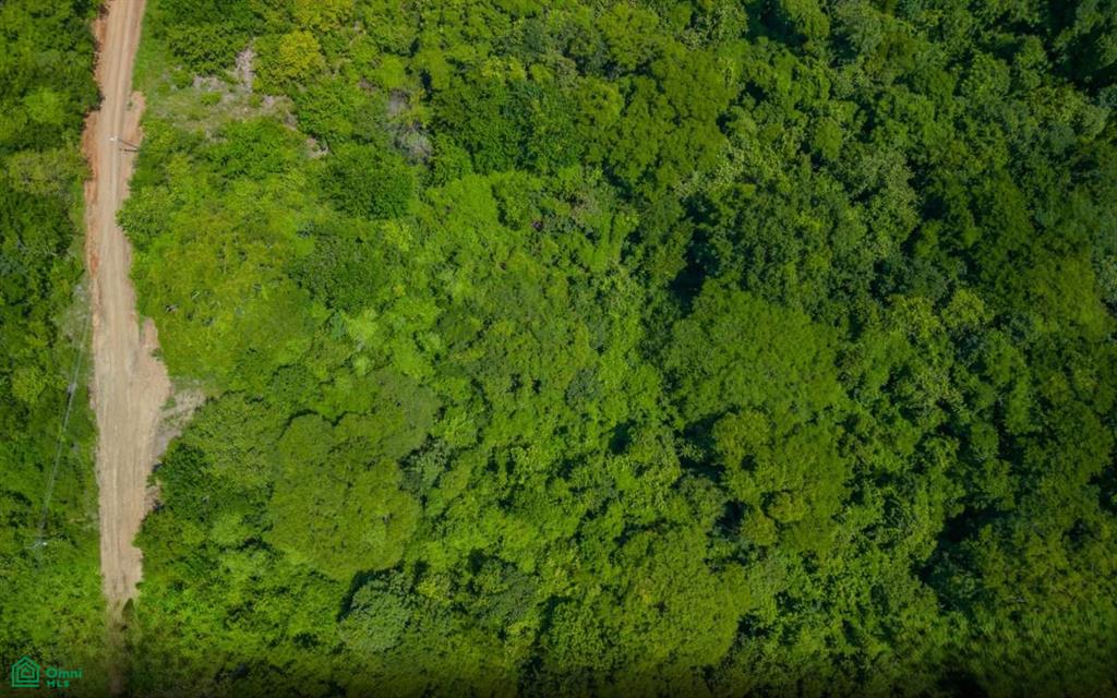 Gated Community Eco Development , Veintisiete de Abril, Santa Cruz, Guanacaste photo 3