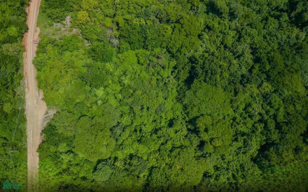Gated Community Eco Development , Veintisiete de Abril, Santa Cruz, Guanacaste photo 4