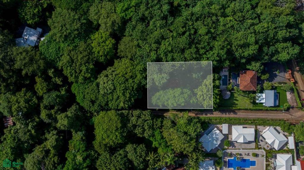 Investment Beach Lot , Tamarindo, Santa Cruz, Guanacaste photo 1