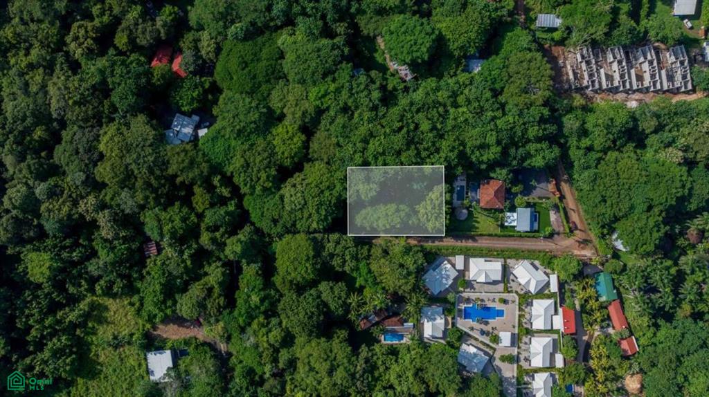 Investment Beach Lot , Tamarindo, Santa Cruz, Guanacaste photo 2