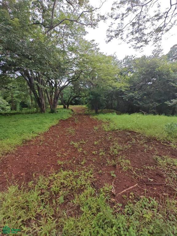 Eco Development Gated Community , Veintisiete de Abril, Santa Cruz, Guanacaste photo 2