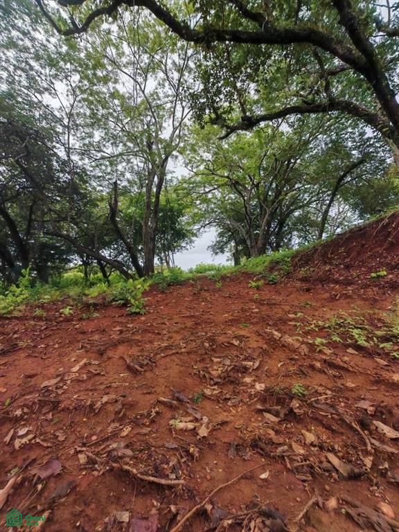 Eco Development Gated Community , Veintisiete de Abril, Santa Cruz, Guanacaste photo 3
