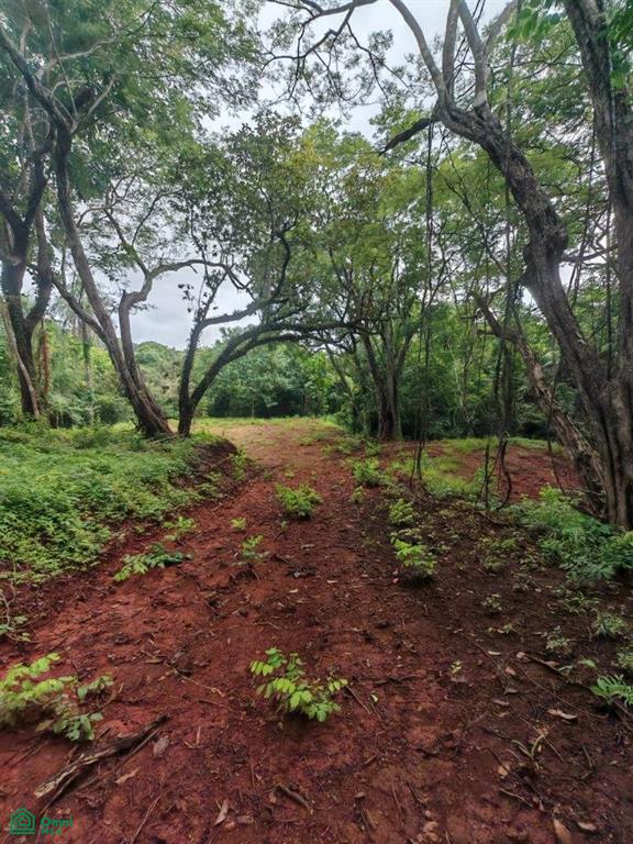 Eco Development Gated Community , Veintisiete de Abril, Santa Cruz, Guanacaste photo 4
