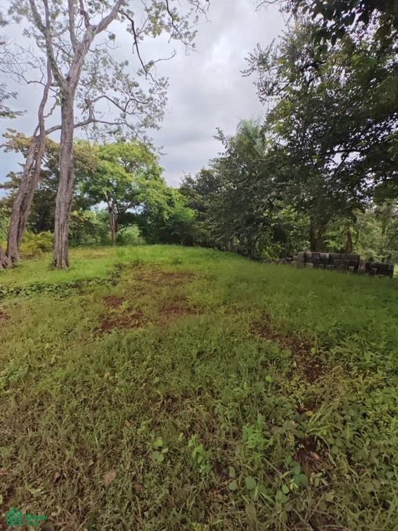 Eco Development Gated Community , Veintisiete de Abril, Santa Cruz, Guanacaste photo 5