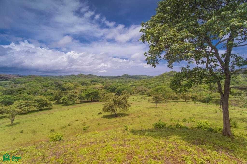 , Tamarindo, Santa Cruz, Guanacaste photo 1