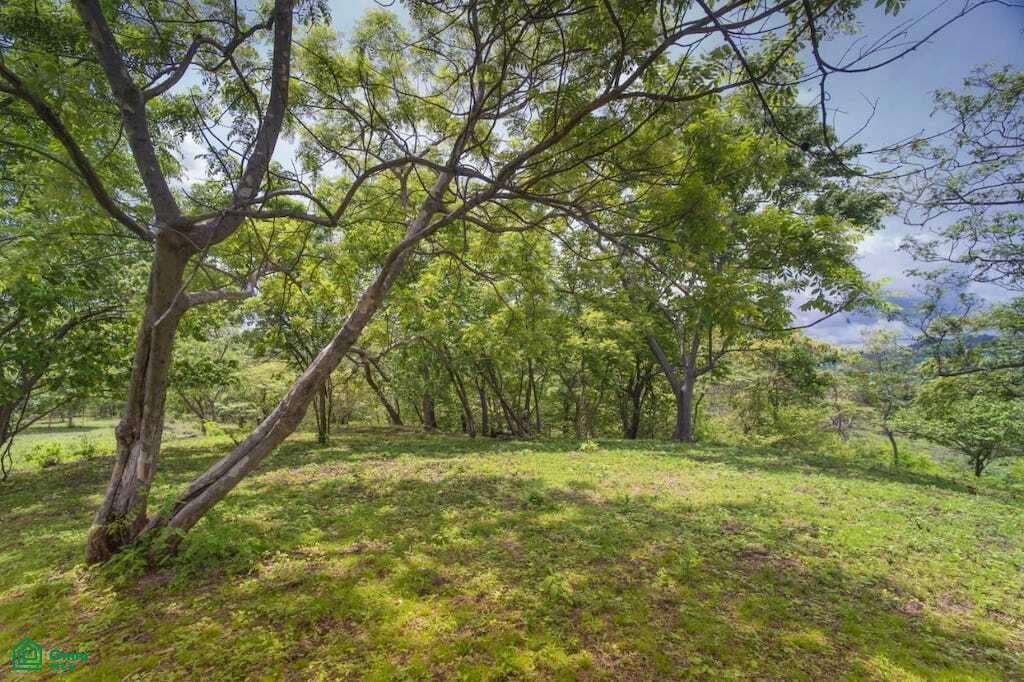 , Tamarindo, Santa Cruz, Guanacaste photo 2