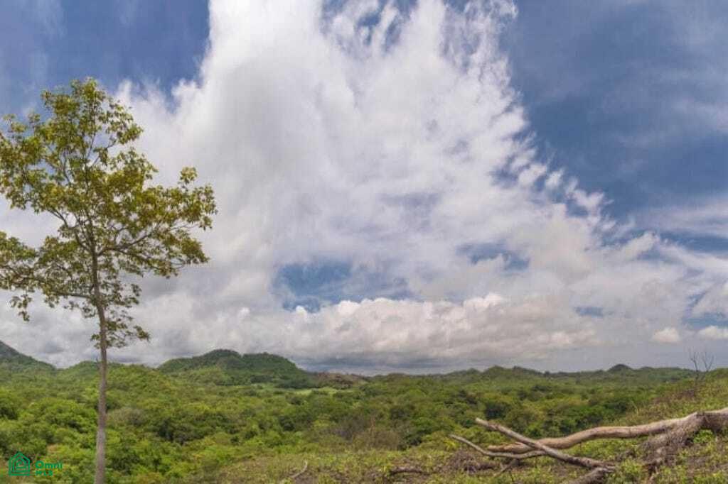 , Tamarindo, Santa Cruz, Guanacaste photo 3