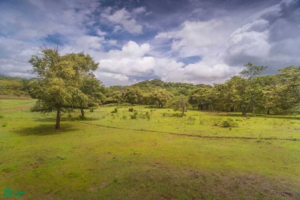 , Tamarindo, Santa Cruz, Guanacaste photo 4