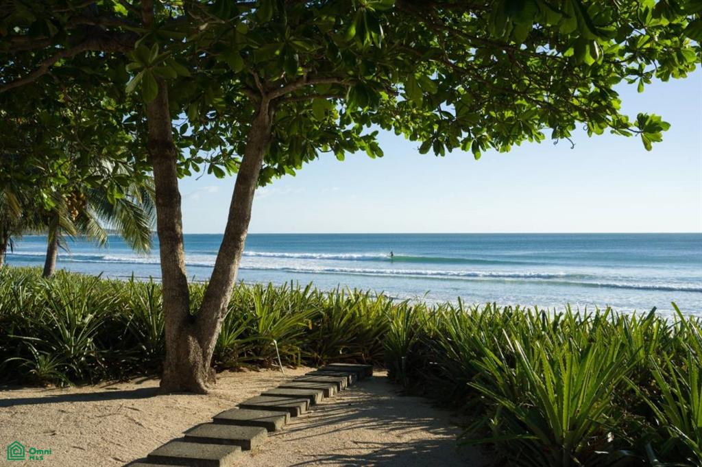 , Tamarindo, Santa Cruz, Guanacaste photo 2