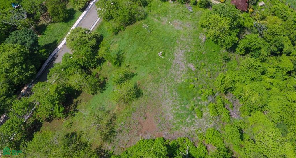 , Tamarindo, Santa Cruz, Guanacaste photo 1