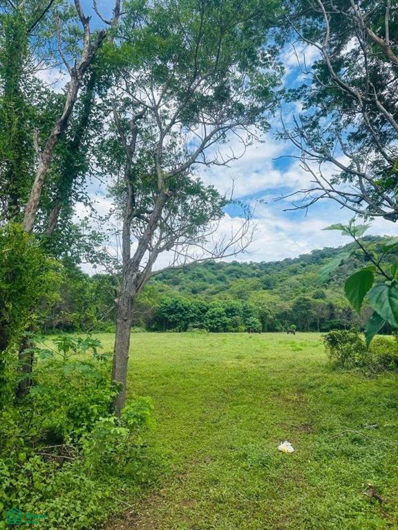 Entre Huacas y Villarreal , Tamarindo, Santa Cruz, Guanacaste photo 1