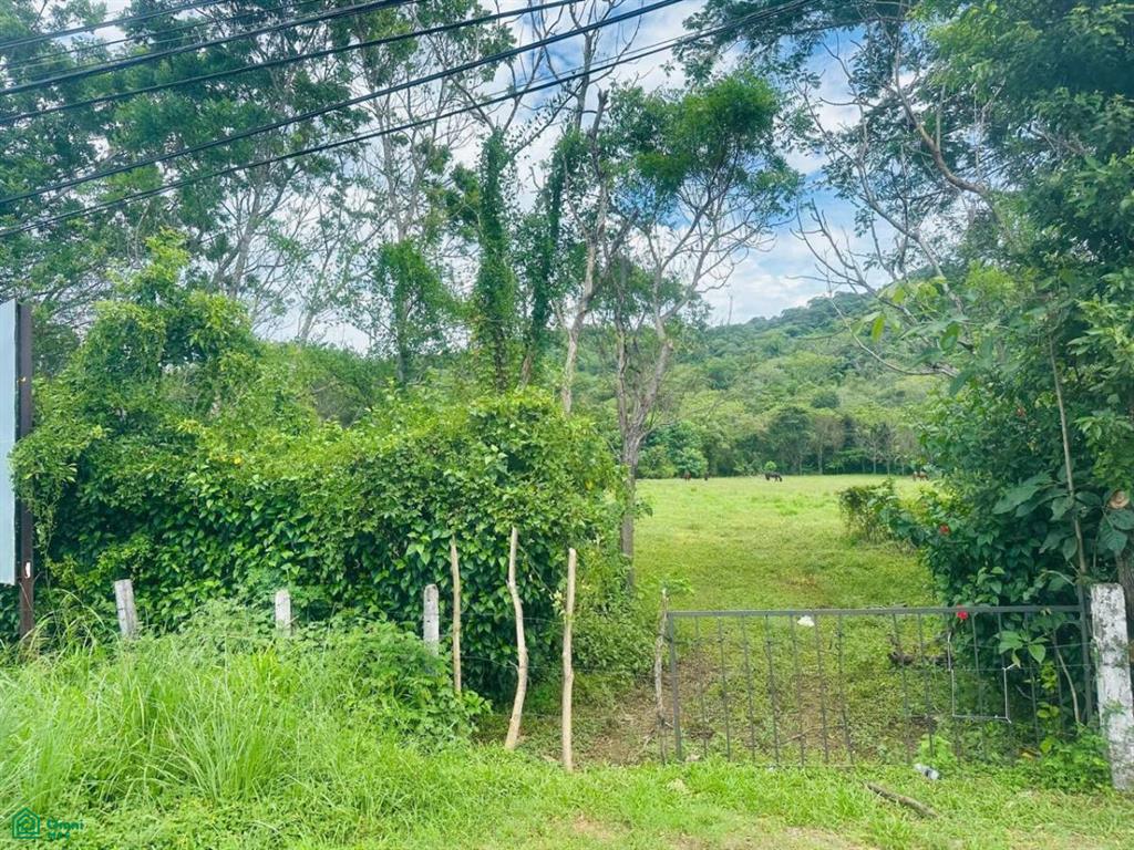 Entre Huacas y Villarreal , Tamarindo, Santa Cruz, Guanacaste photo 2