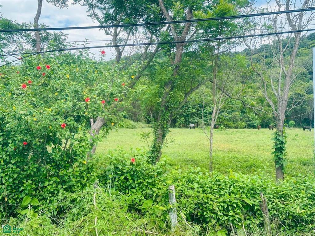 Entre Huacas y Villarreal , Tamarindo, Santa Cruz, Guanacaste photo 3