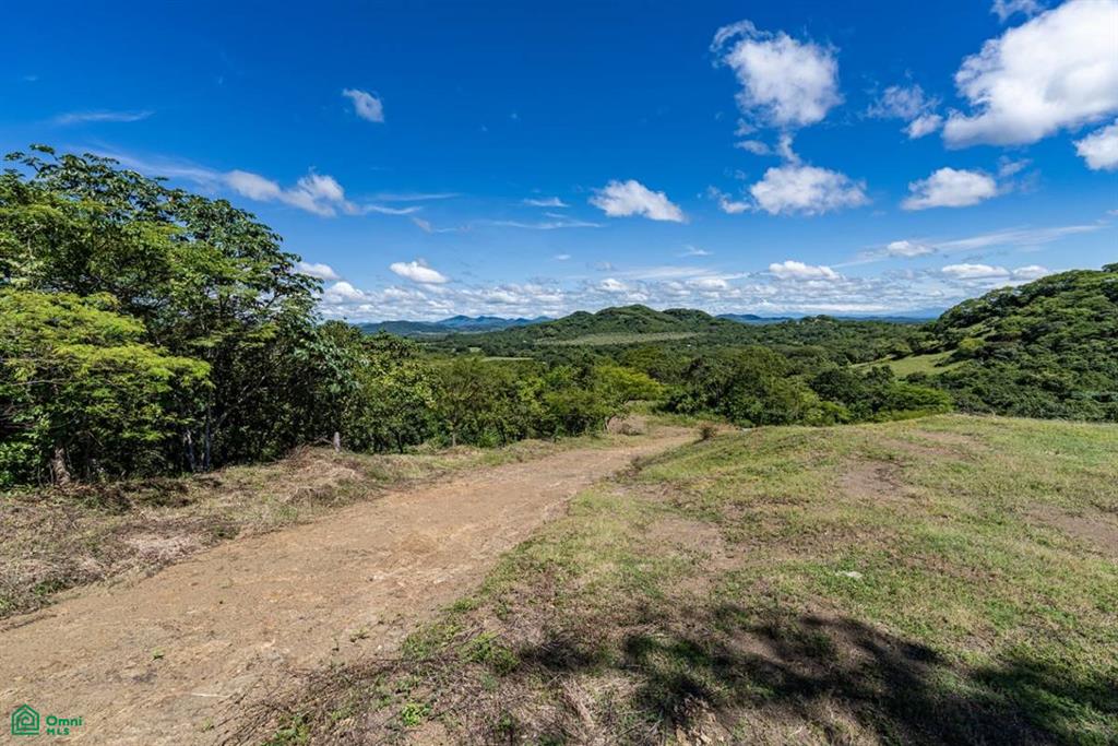 , Santa Cruz, Santa Cruz, Guanacaste photo 3