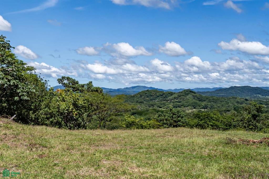 , Santa Cruz, Santa Cruz, Guanacaste photo 5