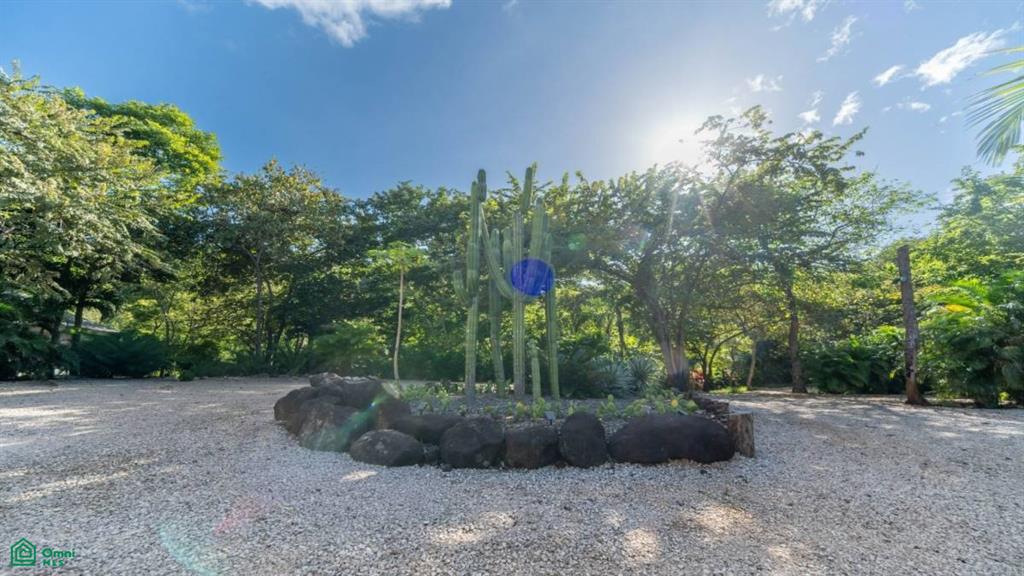 Mikado Natural Lodge , Tamarindo, Santa Cruz, Guanacaste photo 4