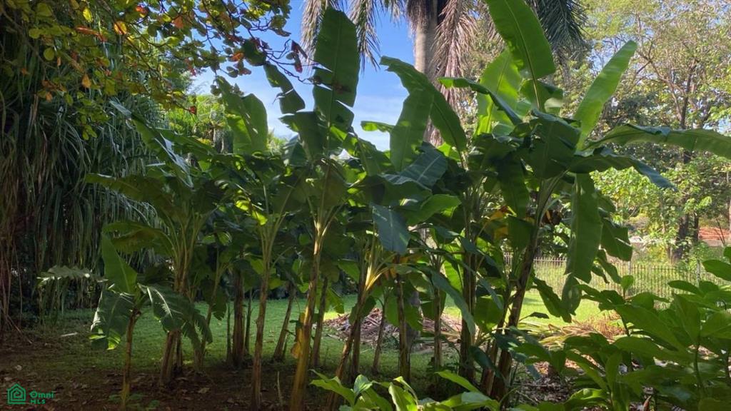 , Tamarindo, Santa Cruz, Guanacaste photo 3