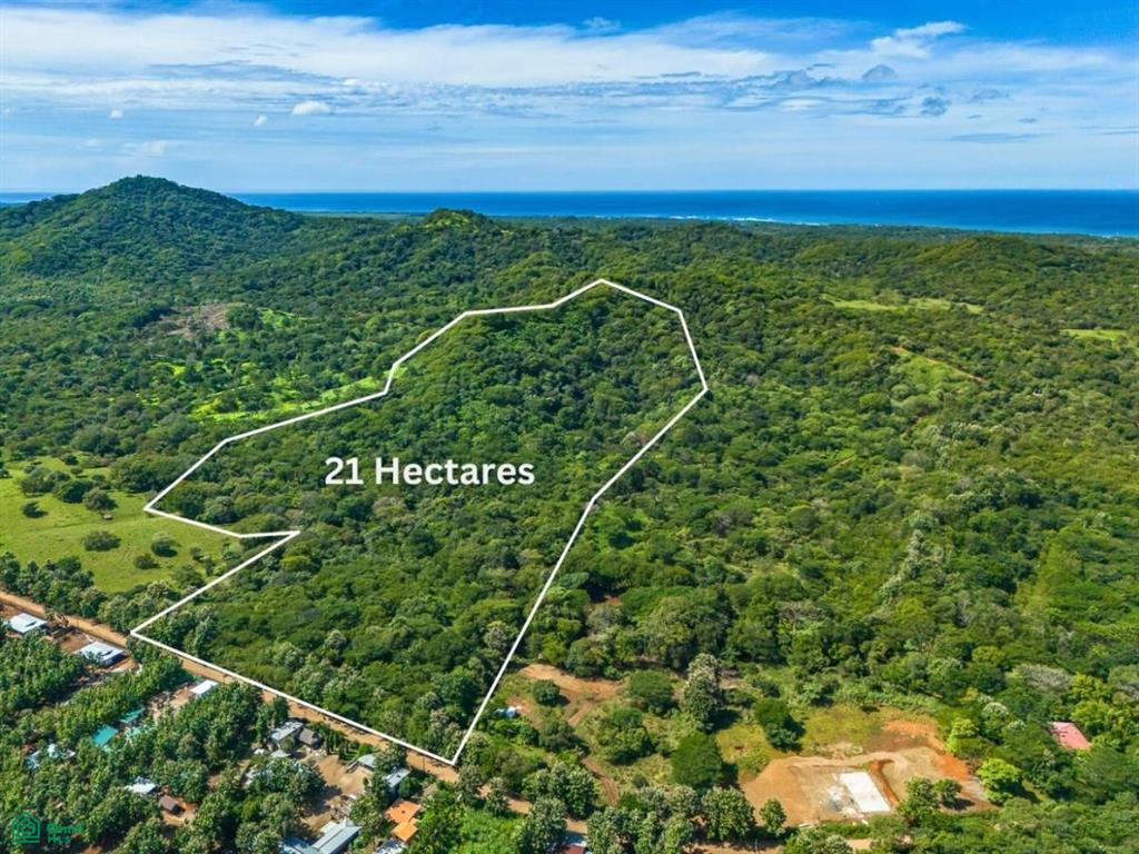 Finca Montecito , Tamarindo, Santa Cruz, Guanacaste photo 2