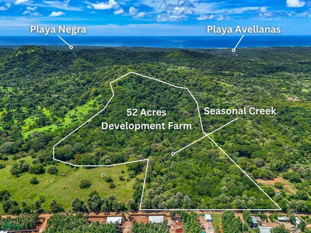 Finca Montecito , Tamarindo, Santa Cruz, Guanacaste photo 4